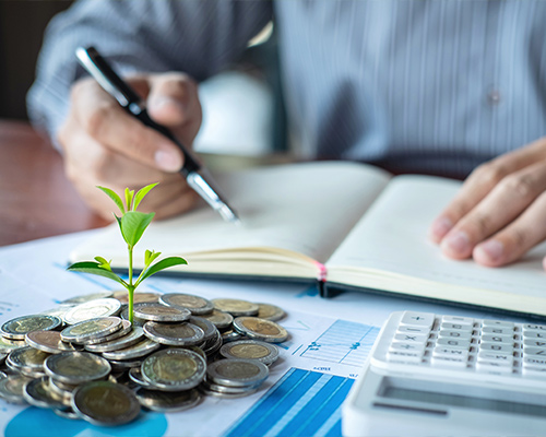 financial paperwork next to a plant growing out of coins planning for retirement